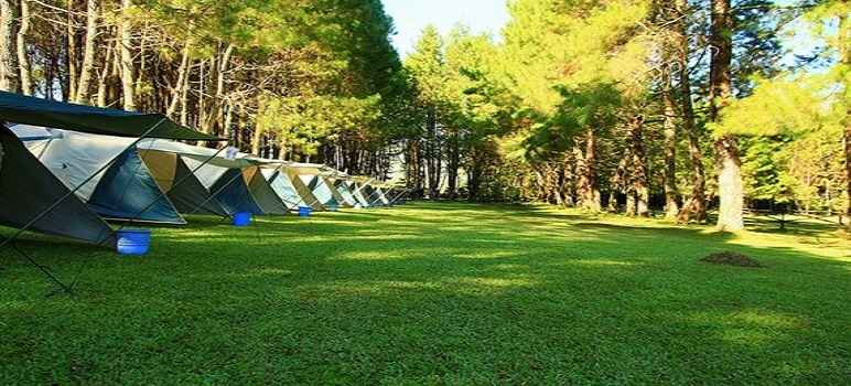 Wisata Pine Forest Camp Lembang