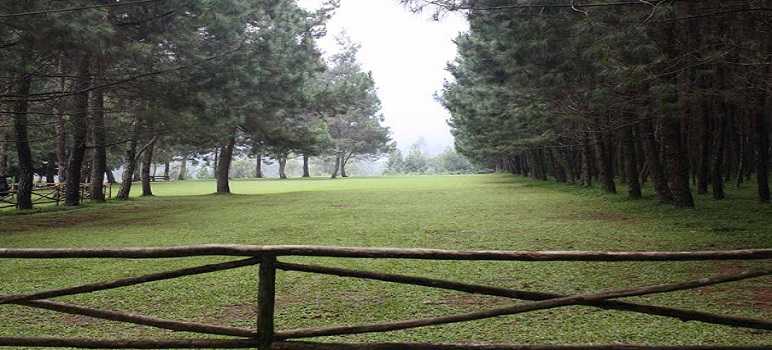 Sejarah Pine Forest Camp Lembang