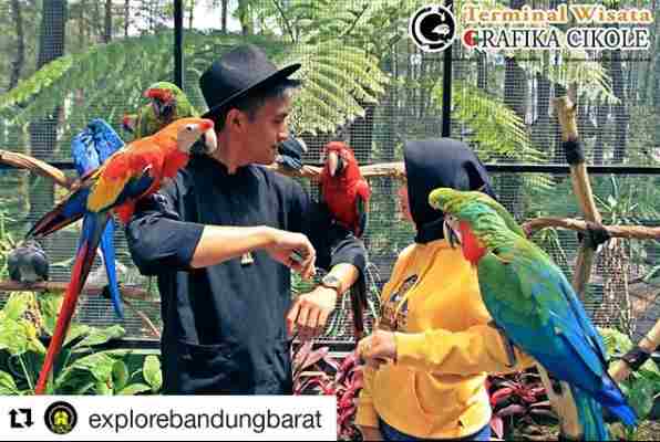 Grafika Bird Park Cikole Lembang Bandung