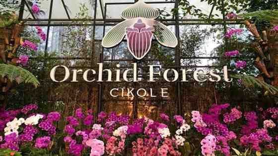 Orchid Forest Cikole Lembang Bandung